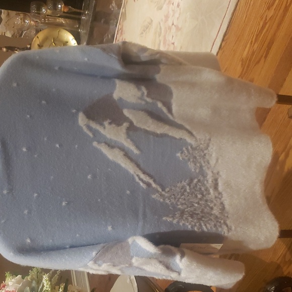 Nwt Rachel ZOE sweater 1x and 2x blue and white - Picture 10 of 14